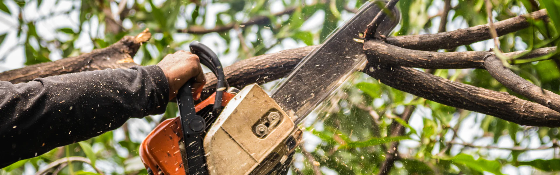 close up of a tree services contractor holding a chainsaw during tree trimming service bossier city la