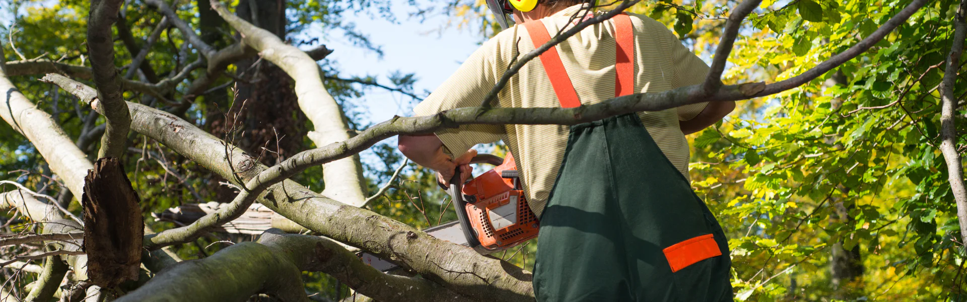 tree services contractor using a chainsaw during tree removal service shreveport la